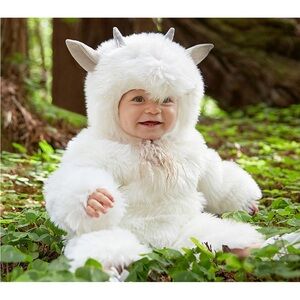Pottery Barn Woodland Baby Goat Costume